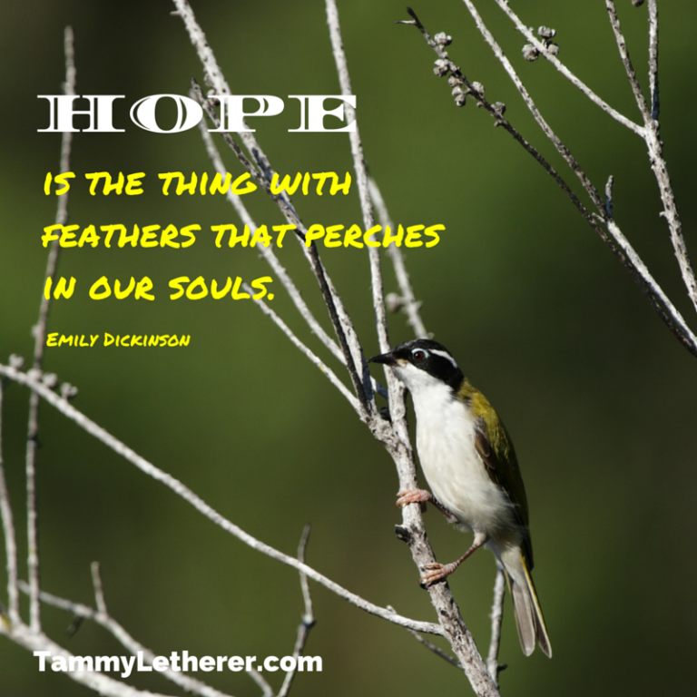 Is Your Nest Feeling Empty 